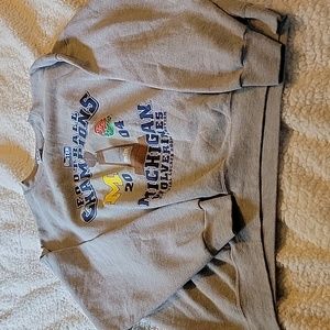 2XL  2004 Michigan big ten sweater